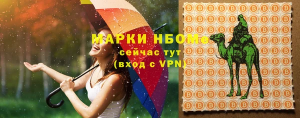эйфоретик Бородино