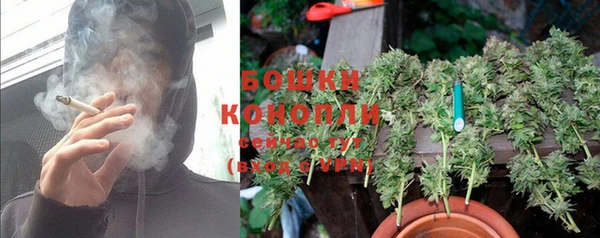 эйфоретик Бородино
