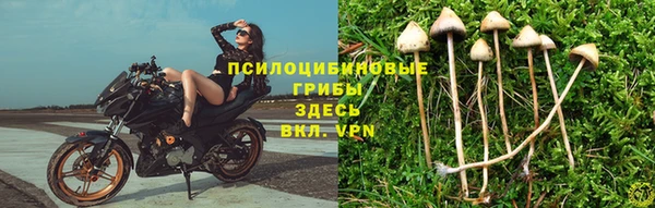 эйфоретик Бородино