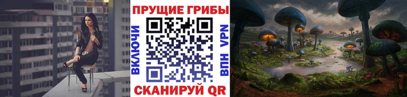 Псилоцибиновые грибы MAGIC MUSHROOMS  Купить закладки  Верещагино 